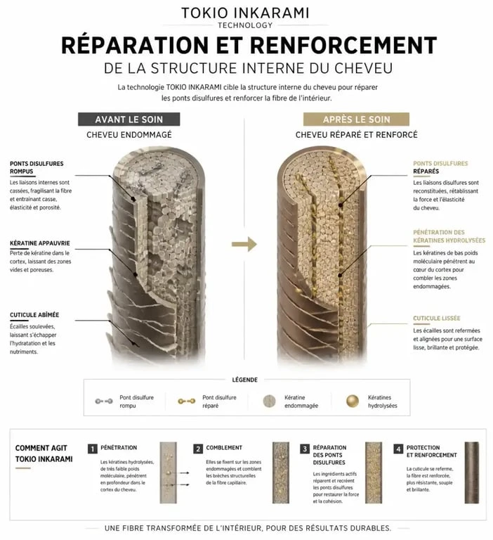 Schéma explicatif du fonctionnement du soin Tokio Inkarami sur la fibre capillaire